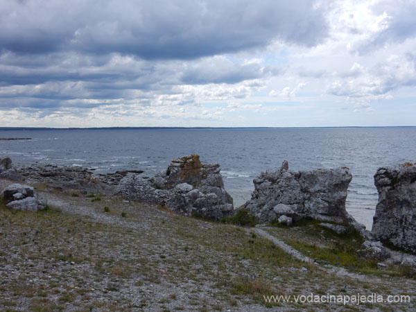 DSCN0651