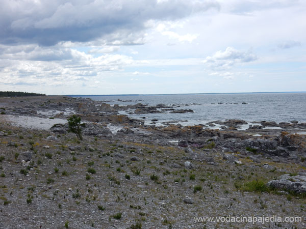 DSCN0656