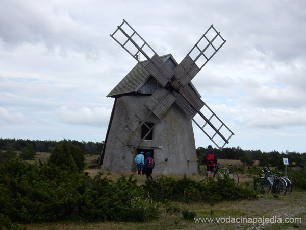 DSCN0664