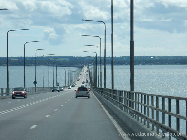 DSCN0716
