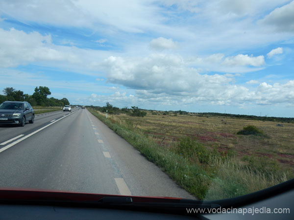 DSCN0722