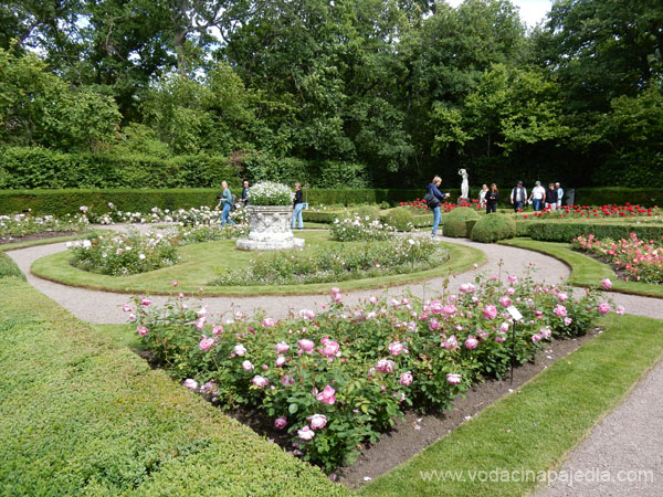 DSCN0753