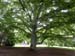 DSCN0757