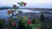 RIMG0091