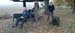 IMG_20241026_114135_665