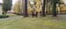 IMG_20241027_113839_005