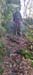 IMG_20241027_153950_326