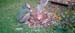 IMG_20241027_164804_049