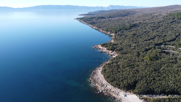 DJI_0004
