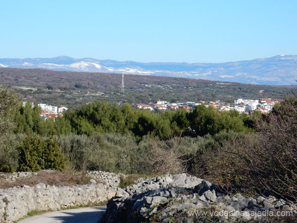 DSCN1565