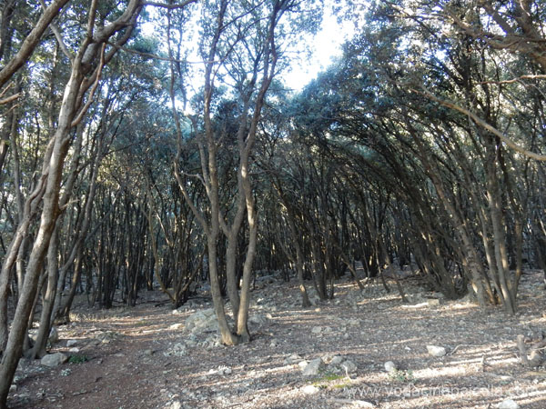 DSCN1570