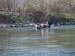 DSCF5951